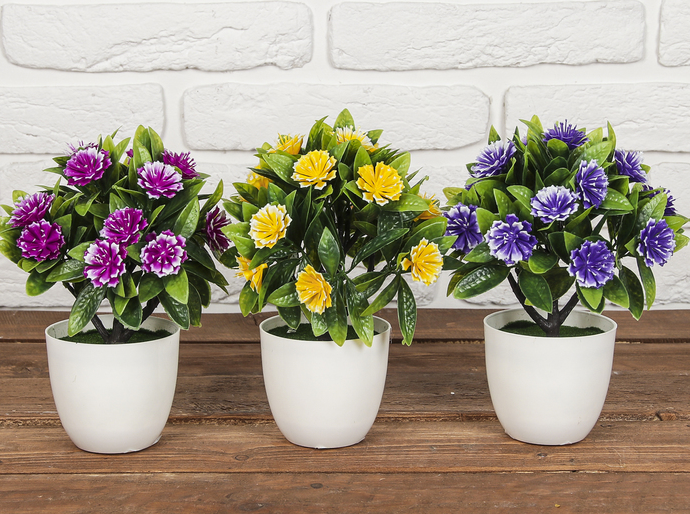 Бонсай (9*19см) Цветы крупные, микс, 1 шт.