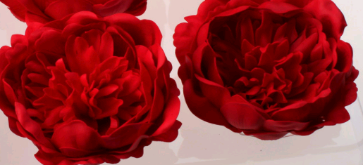 Пион из мыльной пены, Красный (17), 1 шт.