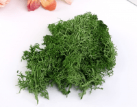 Мох искусственный, Зелёный, 10 гр.