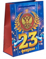 Пакет подарочный (18*23*8см), Праздник настоящего мужества, 1 шт.