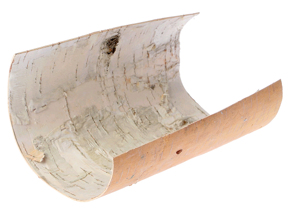 Береста (лист А4), 1 шт.