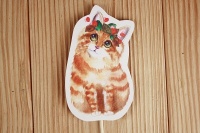 80b51064180766c1df6a4f74aea86b43