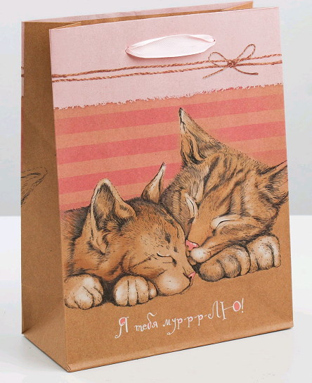 Пакет крафтовый вертикальный (18*23*8 см), Ты моя половинка, 1 шт.