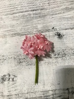 image-26-08-20-10-28-1