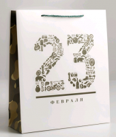 Пакет подарочный (26*30*9см), 23 февраля, 1 шт.
