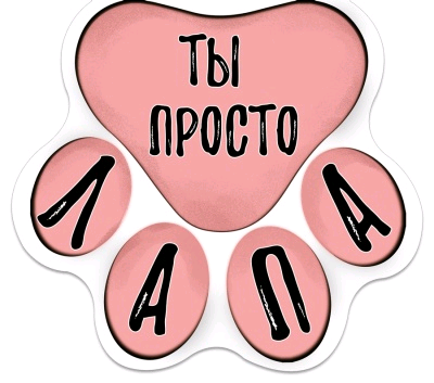 Открытка-отношение (10,5*9,4 см), "Ты просто лапа", 1 шт.