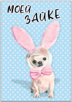 Открытка (7*12 см), Моей зайке, С Любовью!, 1 шт.