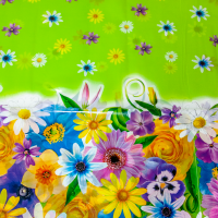 0897005d-23b7-11e9-9f98-f46d04ed0d3c_5290d12e-2e9a-11e9-a14e-f46d04ed0d3c.resize1