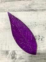 image-26-08-20-10-26-16