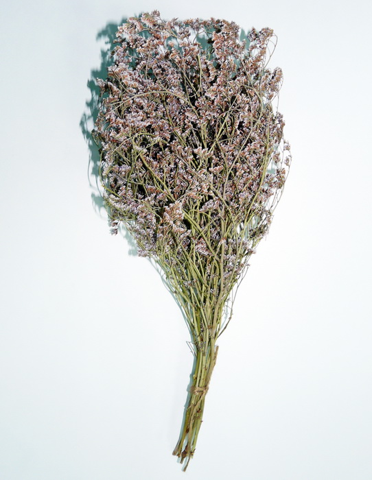 Изделие декоративное (17х11х33см), Лимониум, 1 шт.