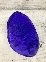 Молд, Лист цинерария, L, 1 шт.