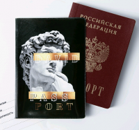 Обложка для паспорта, "DAVID", 1 шт.