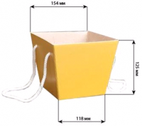 Без названия