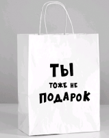 Пакет подарочный (24*14*30 см), Ты тоже не подарок, 1 шт.