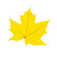 Желтый кленовый лист на скотче, 10 шт.