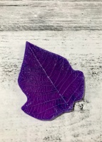 image-26-08-20-10-26-24