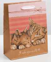 Пакет крафтовый вертикальный (18*23*8 см), Ты моя половинка, 1 шт.