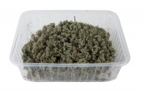 Мох высушенный, ягель, серо-голубой, 750гр.