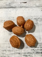 Муляж грецкий орех, 1 шт.