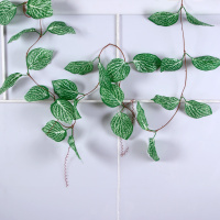 Лиана (230 см) Каладиум, 1 шт.