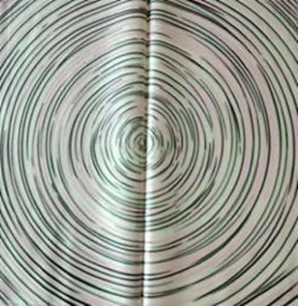 Упак. Материал флористическая пленка (58*58см) Гипноз, Черный/Салатовый, 1 шт.