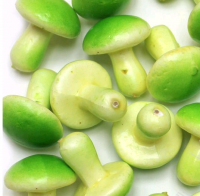 Муляж декоративный, грибочки, зеленая шляпка, 1 шт.