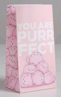 Пакет подарочный без ручек (10*19,5*7 см), Purrfect, 1 шт.