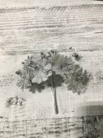 image-26-08-20-10-28-42