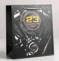 Пакет подарочный (23*27*11,5см), 23 февраля, 1 шт.