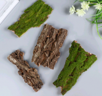 Безымянный