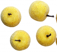 Муляж декоративный яблоко засахаренное желтое (3,5*3см), 1 шт.
