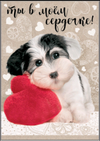 Безымянный