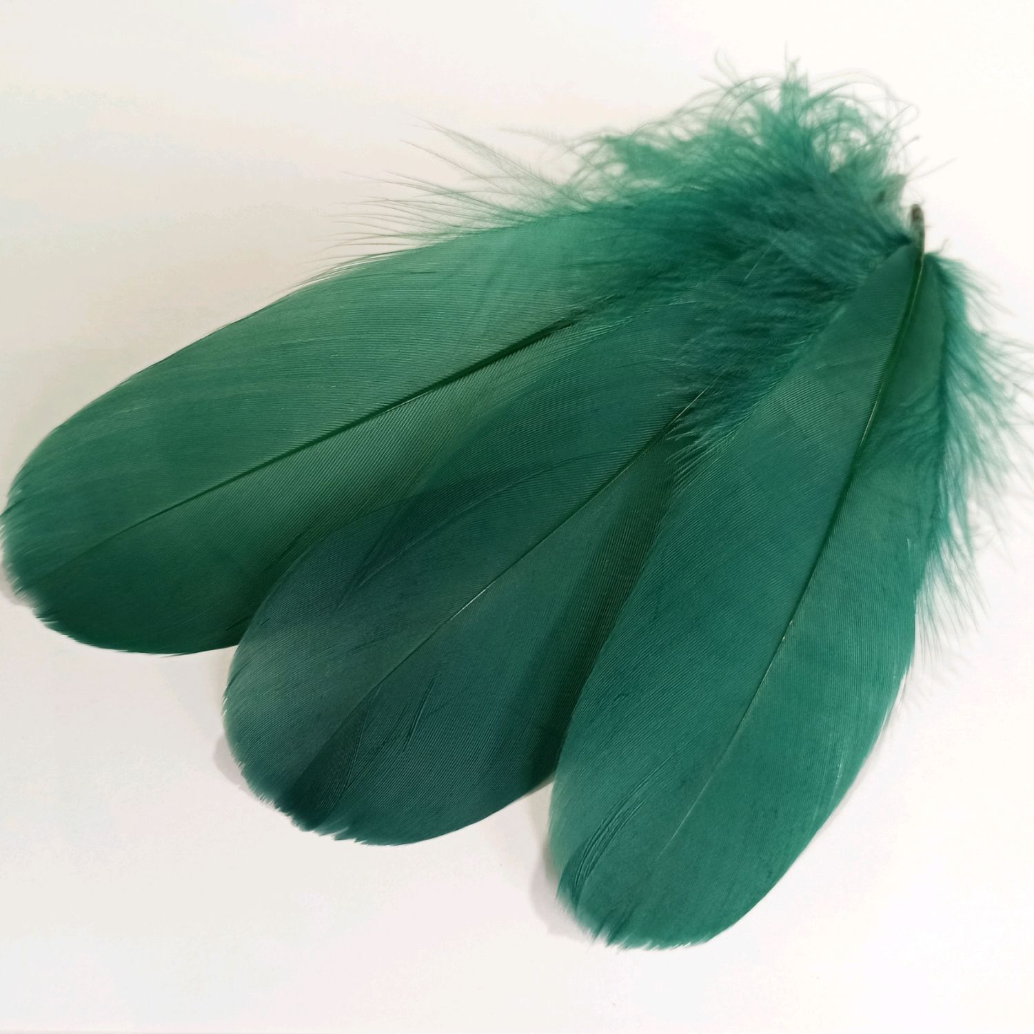 Перья Темно-зеленые, 100 шт. 