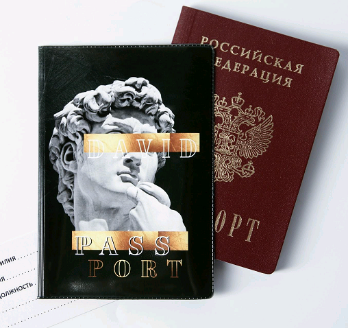 Обложка для паспорта, "DAVID", 1 шт.