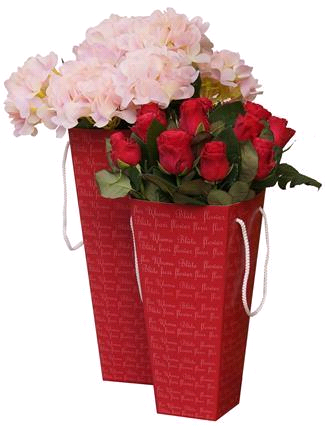 Коробка для цветов (9х15х32,5см), красный, 1 шт.