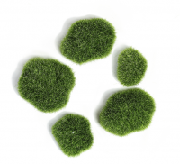 Мох искусственный, Камни, набор 5 шт.