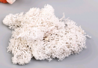 Мох искусственный, Белый, 10 гр.