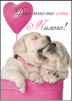 Безымянный