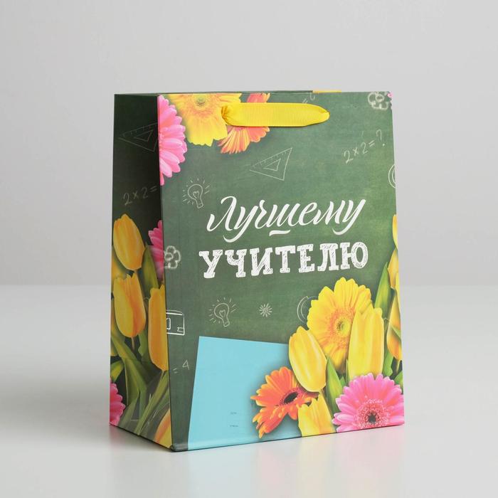 Пакет подарочный (18*23*10 см) Лучшему Учителю, 1 шт.