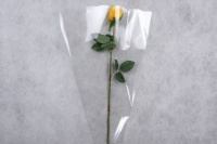 Пакет-конус (45*60 см), Алиса, Прозрачный, 1 шт.