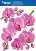 Наклейка оформительская "Чудесные орхидеи", 1 шт.