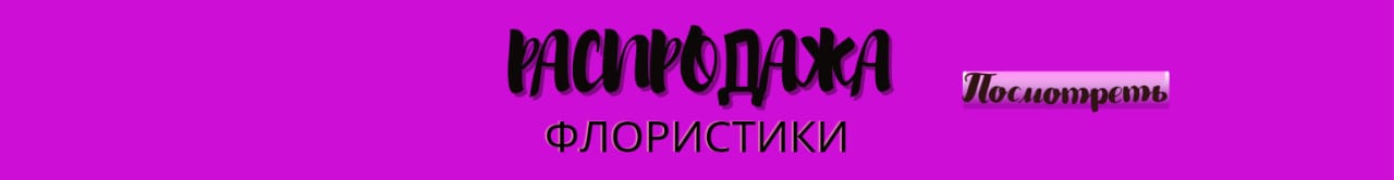 Распродажа Флористики сверху над шапкой