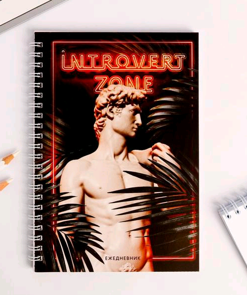 Ежедневник (А5), "Introvert zone", 60 листов, 1 шт.