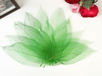 Безымянный