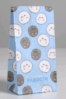 Пакет подарочный без ручек (10*19,5*7 см), Порция радости, 1 шт.