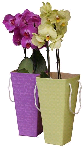 Коробка для цветов (9х15х32,5 см), фиолетовый, 1 шт.