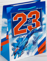 Пакет подарочный (23*27*8см), 23 февраля, 1 шт.