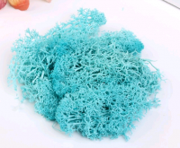 Мох искусственный, Бирюза, 10гр.