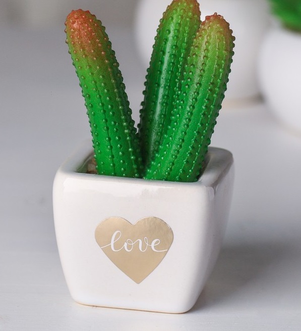 Суккулент в керамическом горшочке (10.5×5.5×6см) Love, 1 шт.