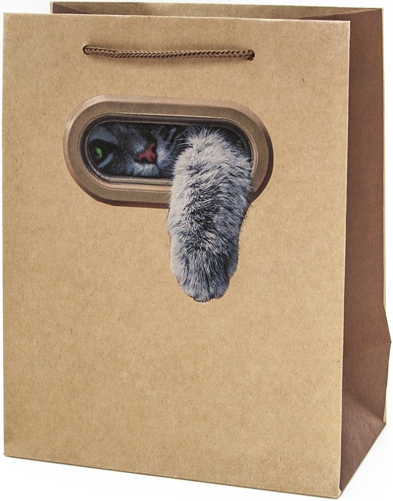 Пакет подарочный (18*23*10 см) Пушистая Лапка, Крафт, 1 шт.